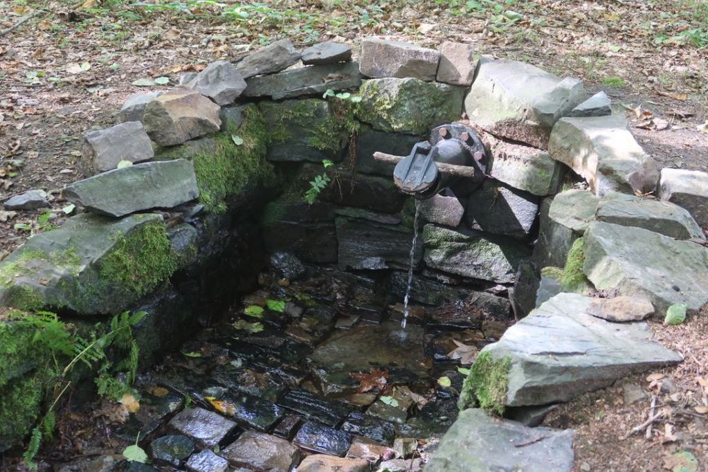 Ortsbegehung Heisberg 2026, Otto-Brunnen